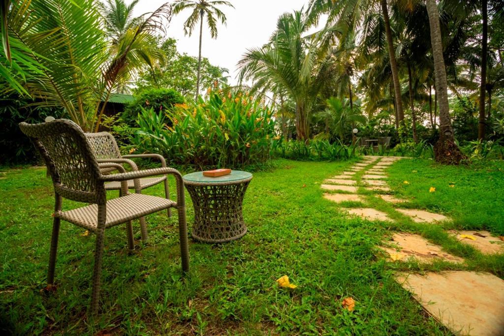 Resort Montego Bay Village - Morjim