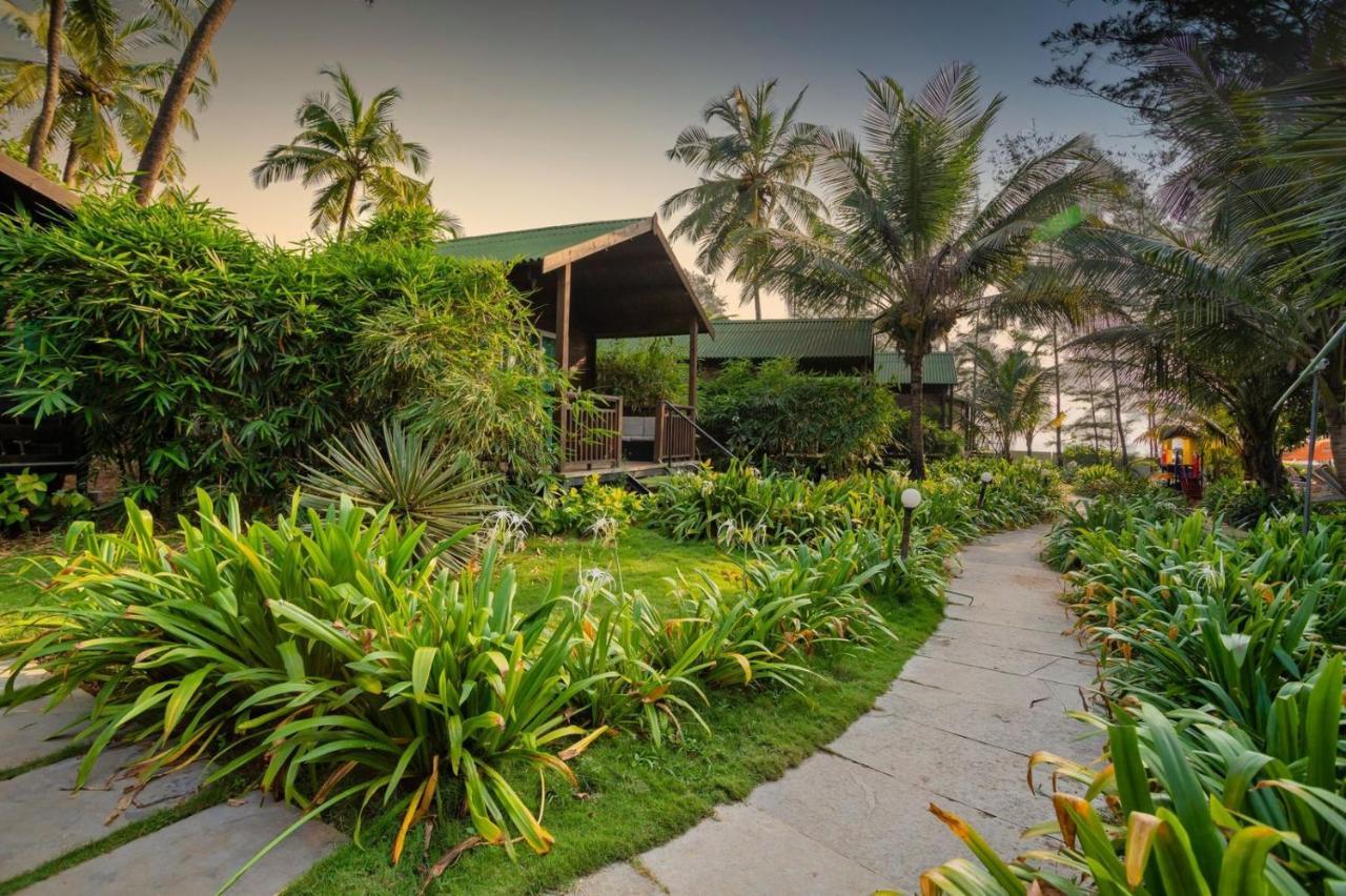 Montego Bay Village - Resort Morjim