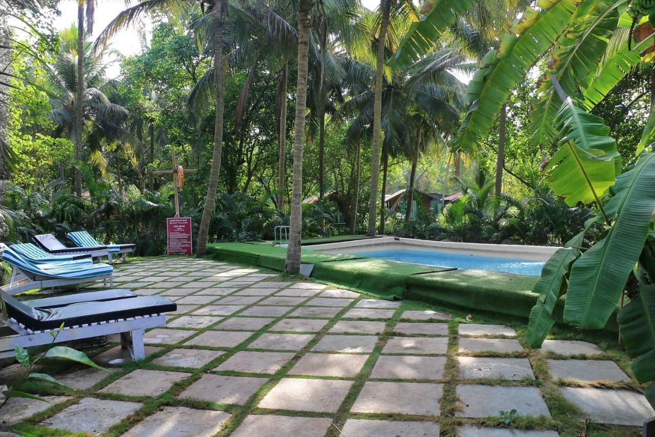 Montego Bay Village - Resort Morjim