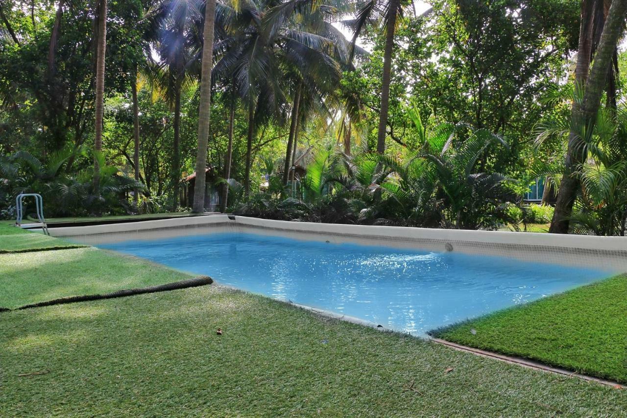 Montego Bay Village - Resort