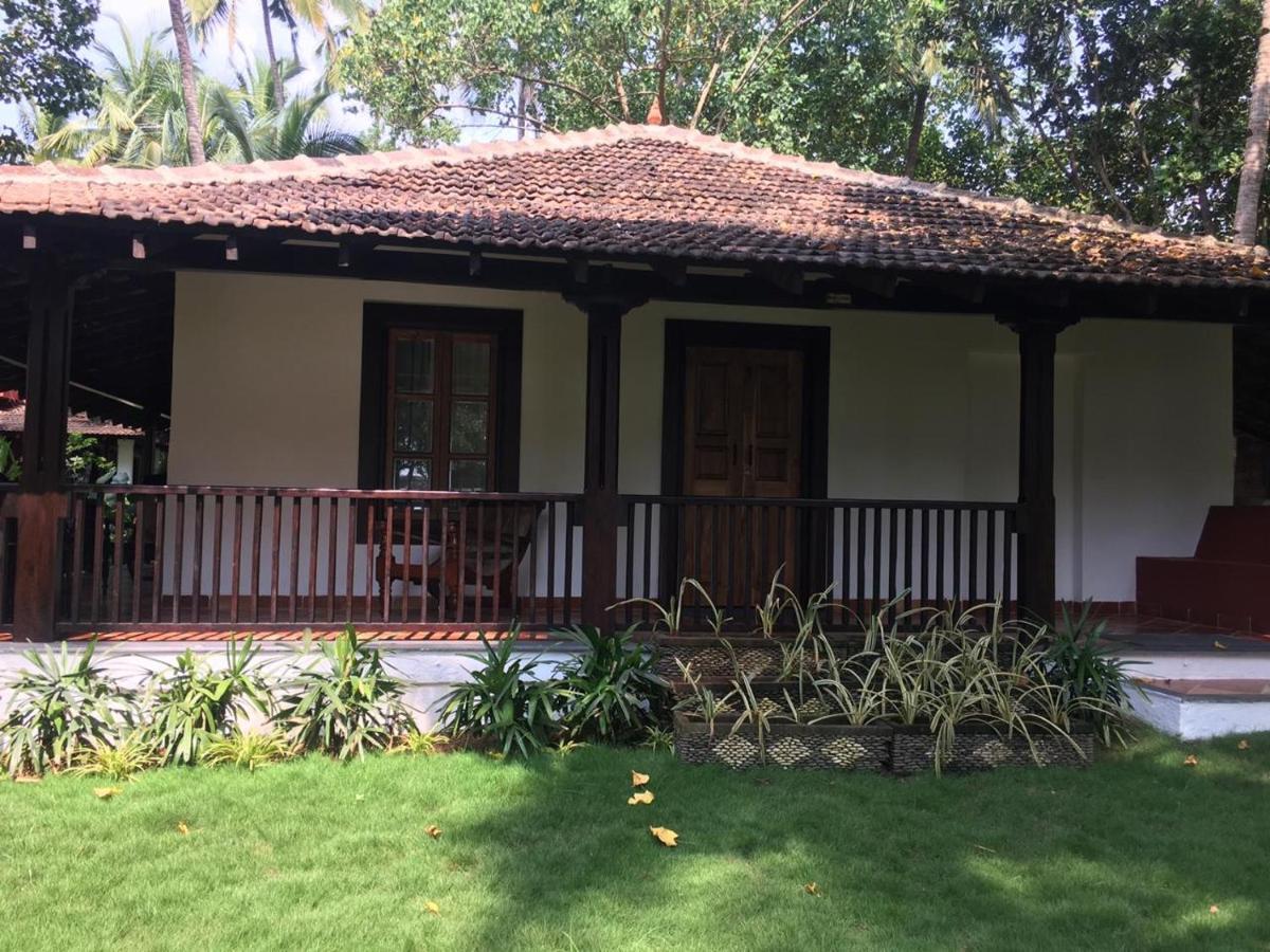 Montego Bay Village - Morjim
